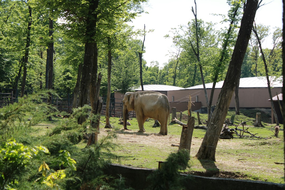 Zoo de Lille